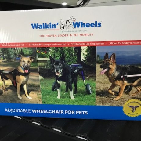 Walkin’ Wheels – adjustable wheelchair for medium dog