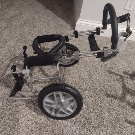 Eddie’s Wheels rear cart wheelchair for Doggies